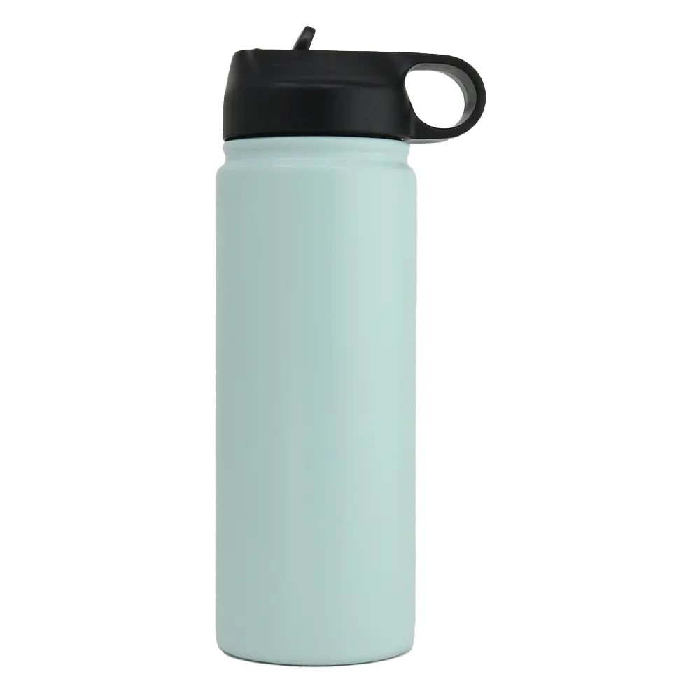 20oz Insulated Stainless Steel Water Bottle